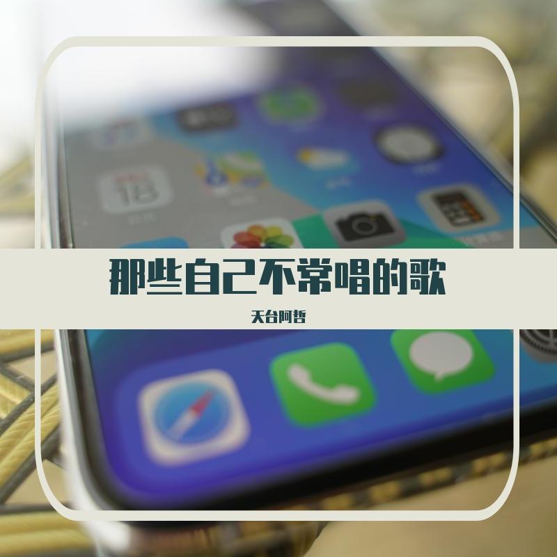 真我的风采封面