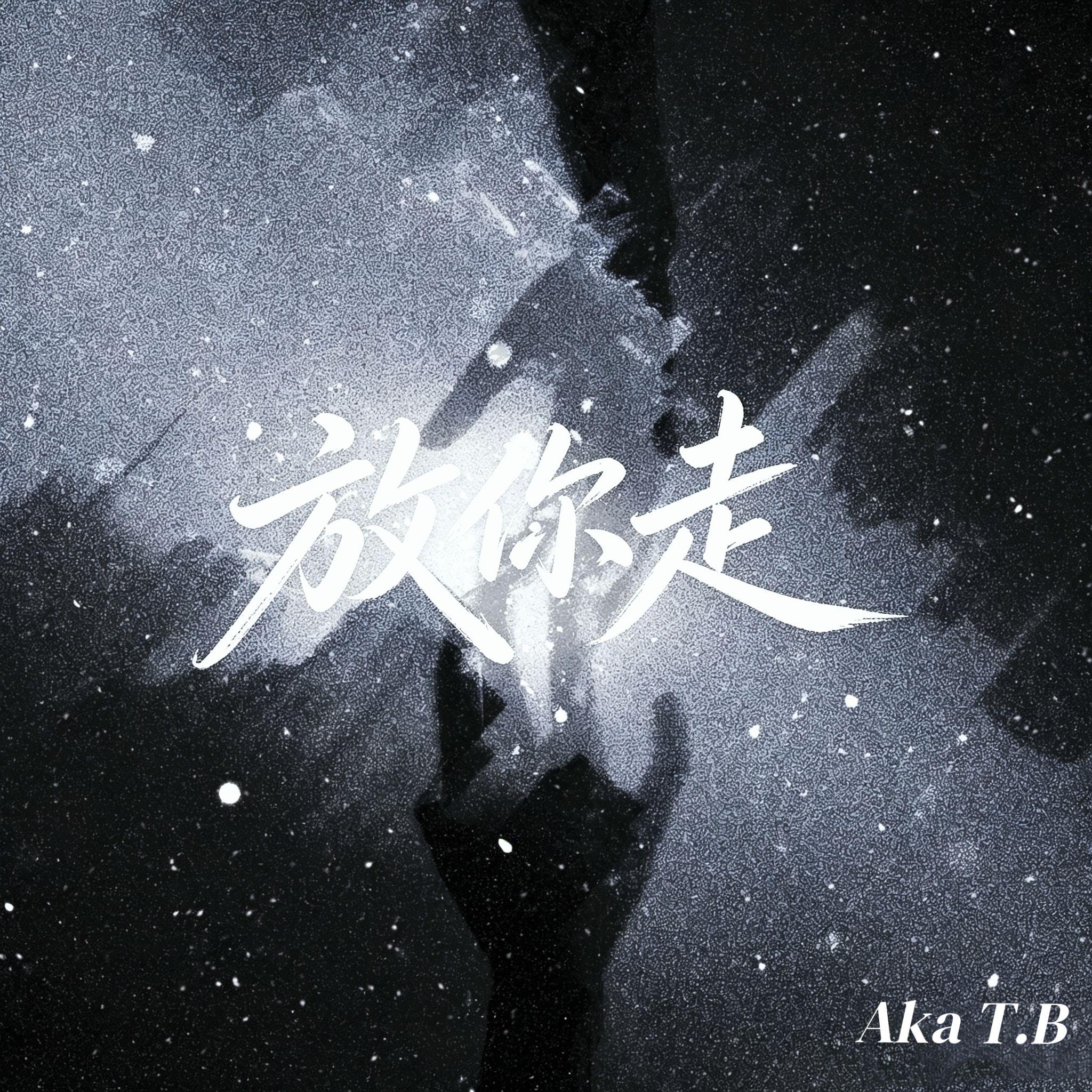 放你走封面