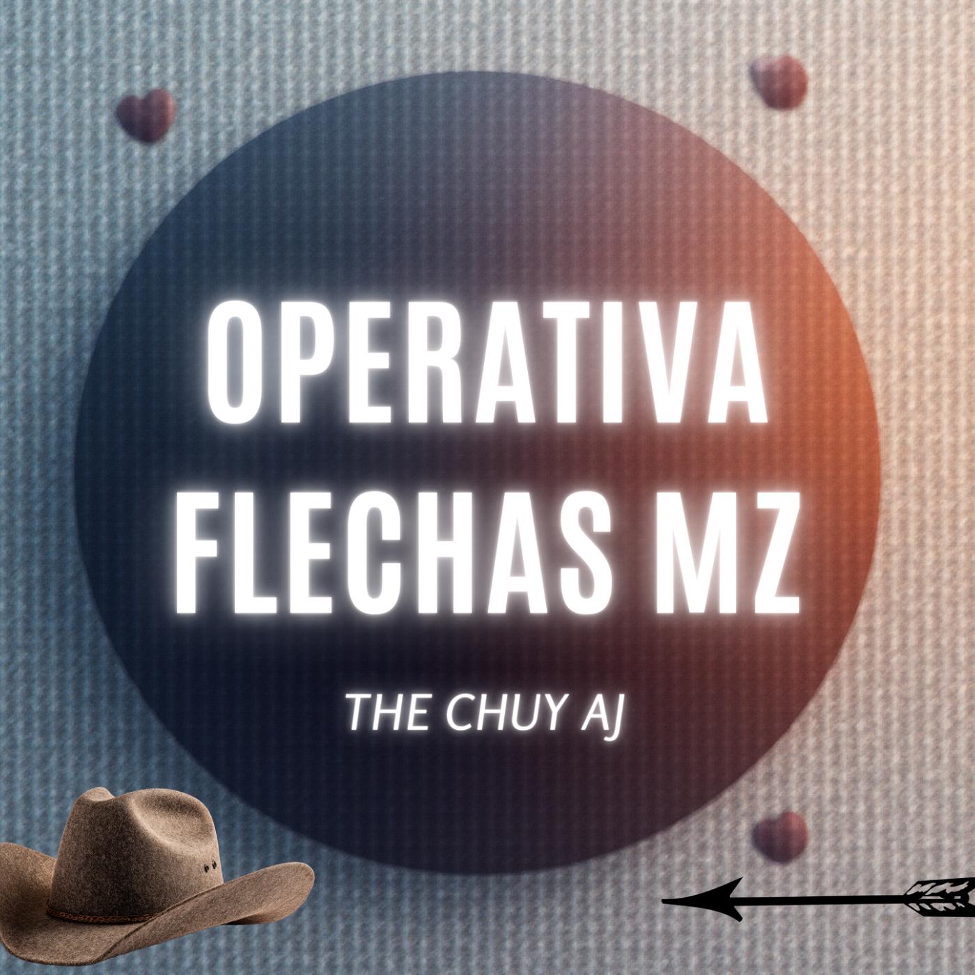 Operativa Flechas MZ