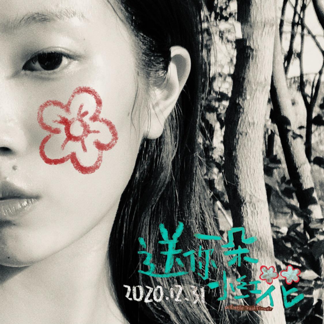 送你一朵小红花（女生版）（翻自 赵英俊）封面