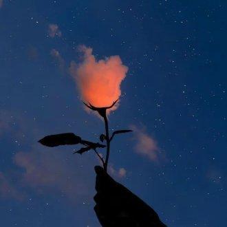 一定会成为囻麤鰰的