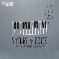 Synths and Notes, Vol. 29