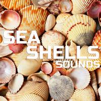 Sea Shells Sounds