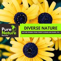 Diverse Nature - Nature Sounds from Forest Oceans and Rains, Vol.1