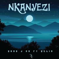 Nkanyezi (feat. Nelia) [Radio Edit]