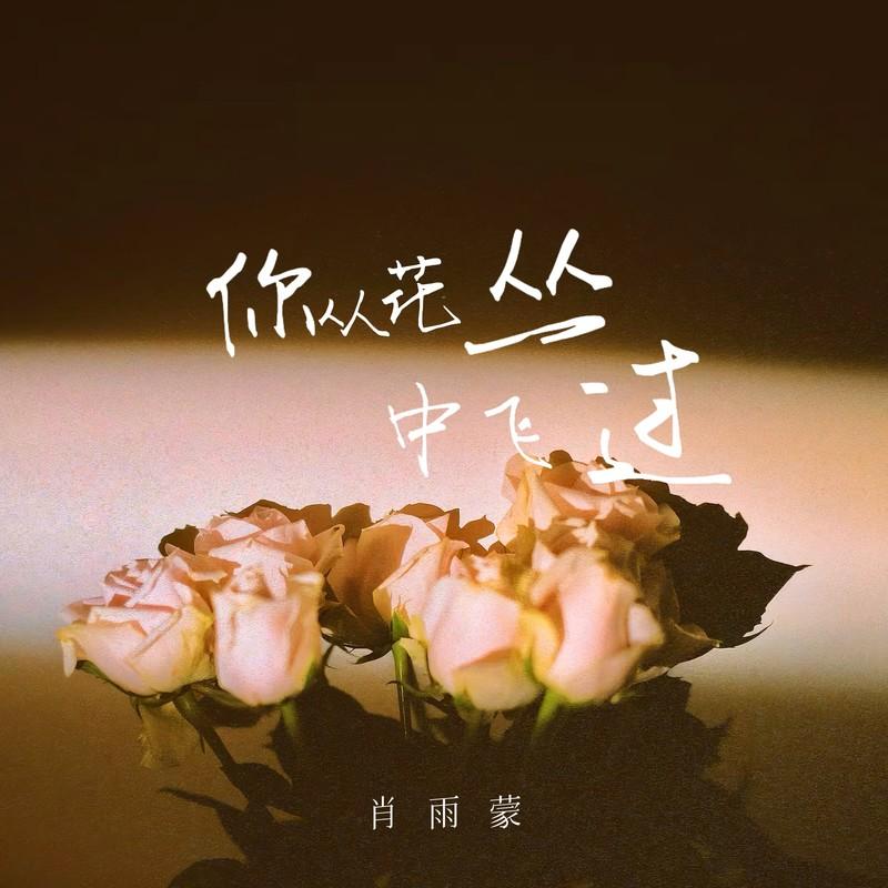 你从花丛中飞过 (Live合唱版)封面