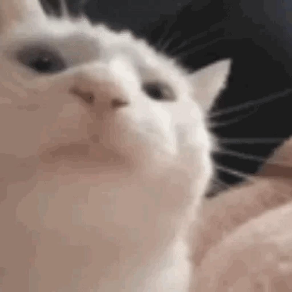 抹布擦脸能预知危险