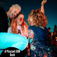 A Pleasant EDM Bash