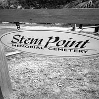 Stem Point