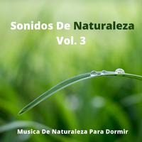 Sonidos De Naturaleza, Vol. 3 (Musica De Naturaleza Para Dormir)