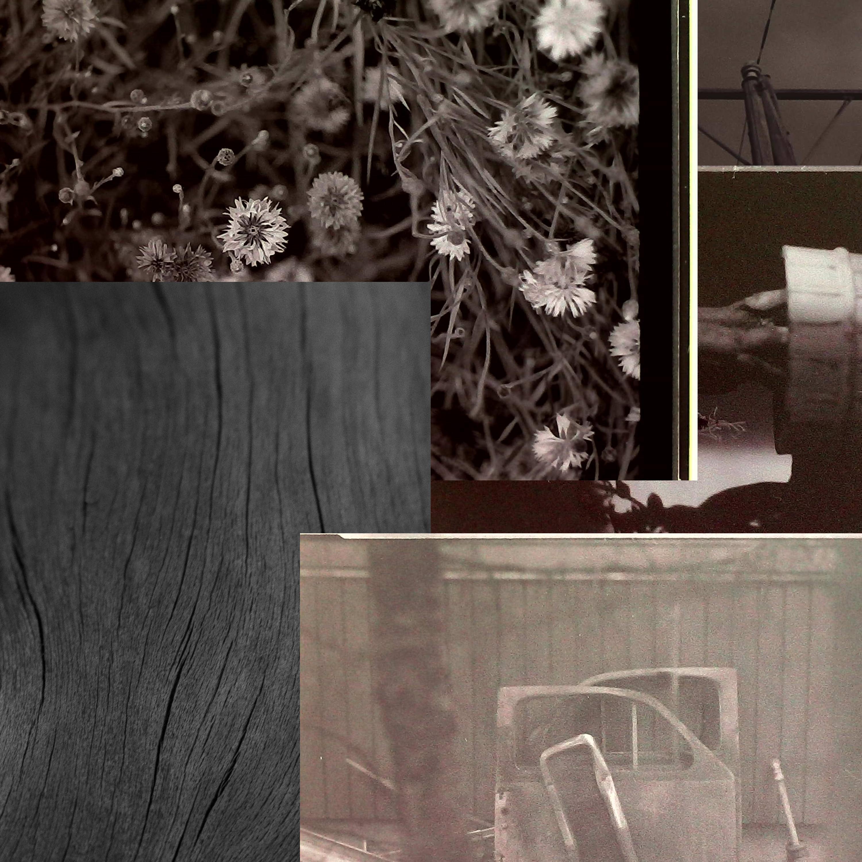 armeijassa mulle sanottiin että mun pitää kuolla mun henkilökohtaisten mielipiteitten takia eikä ne hyväksyny mua ittenäni