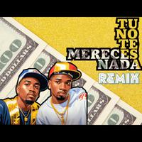 TU NO TE MERECES NADA (Remix)