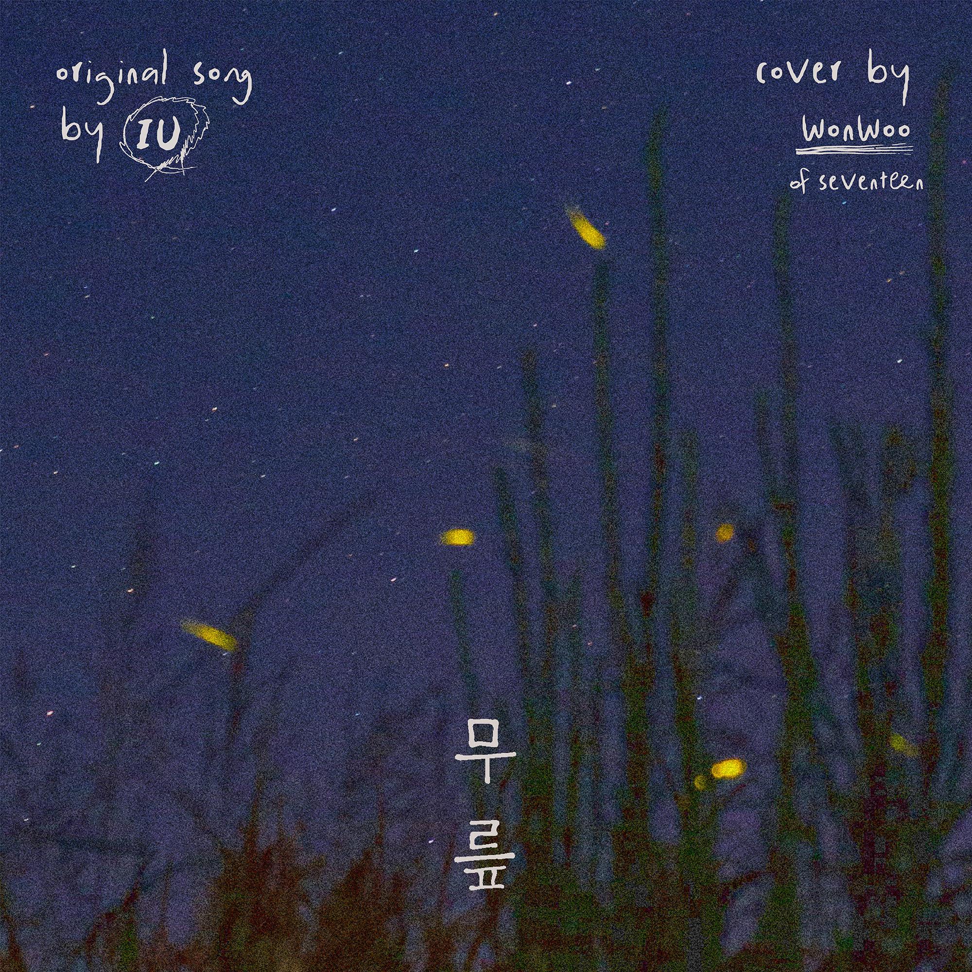 무릎 (Cover)封面
