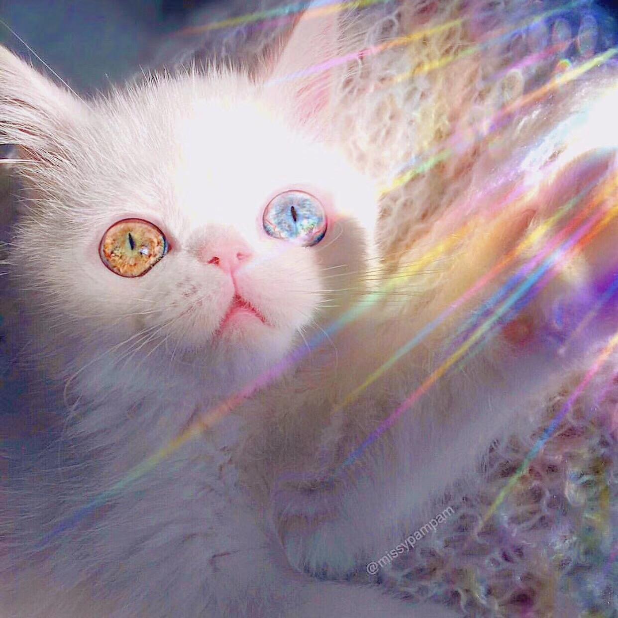 晚点封面