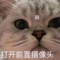 鱼翅翅翅资料,鱼翅翅翅最新歌曲,鱼翅翅翅MV视频,鱼翅翅翅音乐专辑,鱼翅翅翅好听的歌