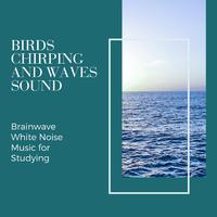 Birds Chirping and Waves Sound - Brainwave White Noise Music for Studying