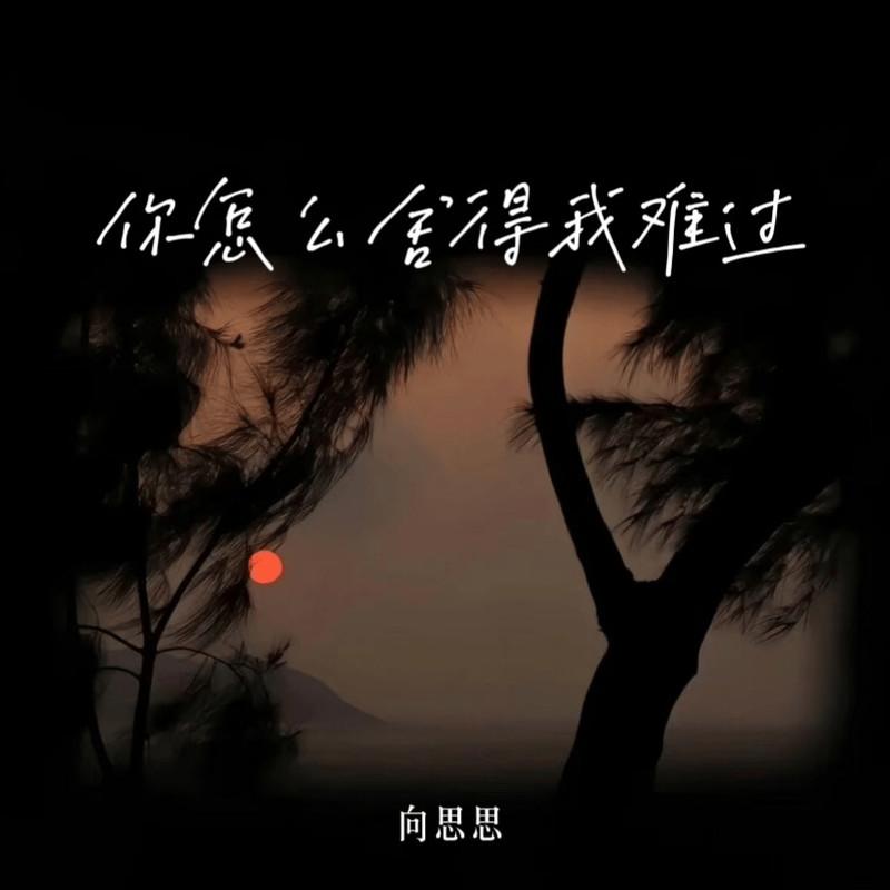 你怎么舍得我难过 (伴奏) - 向思思封面