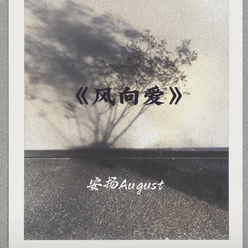 风向爱