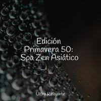 Edición Primavera 50: Spa Zen Asiático