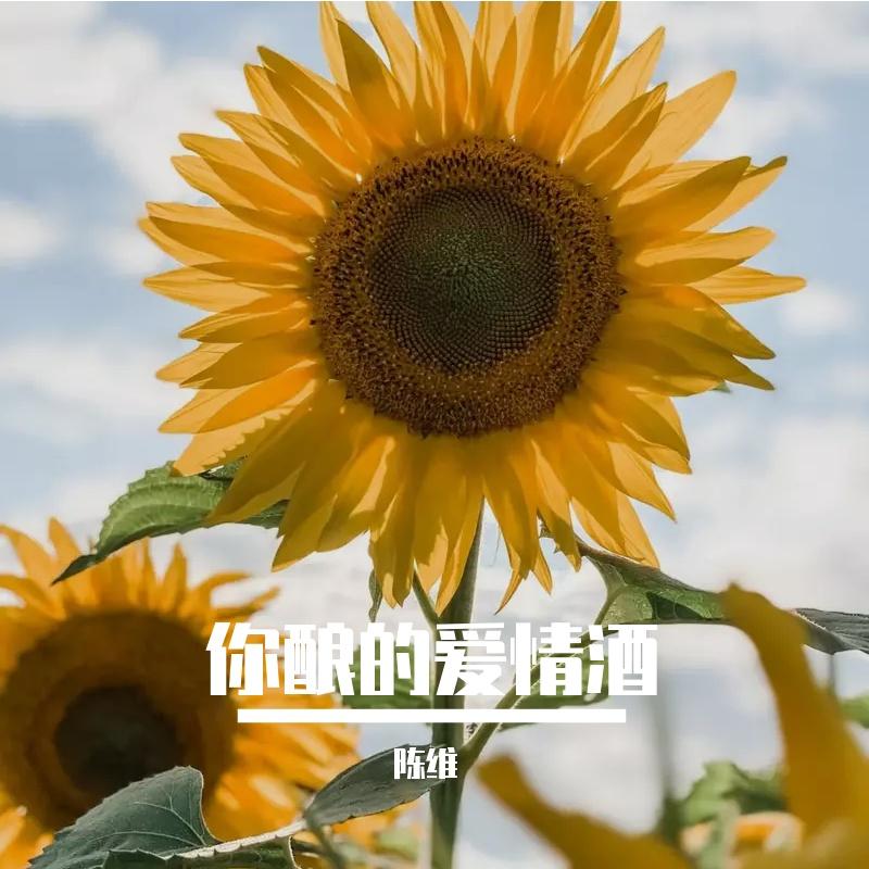 火星爱月亮封面
