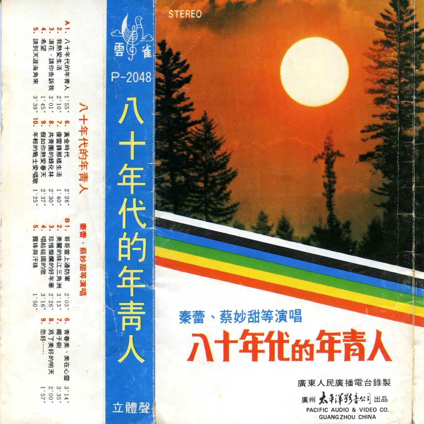 珍惜灿烂的好年华封面