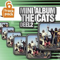 6 Pack Track (deel 2)