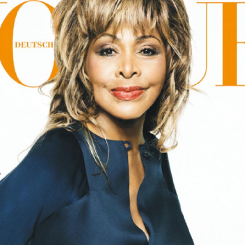 Tina Turner 美国 ~ 摇滚教母