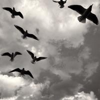 尹川资料,尹川最新歌曲,尹川MV视频,尹川音乐专辑,尹川好听的歌