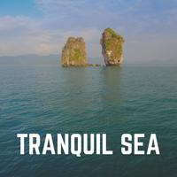 Tranquil Sea