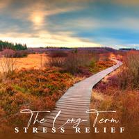 The Long-Term Stress Relief: Anxiety Reduction, Nature Sounds for Stress, Protect Your Mind & Body