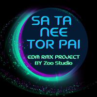 สถานีต่อไป (EDM RMX Project by Zoo Studio) - Single