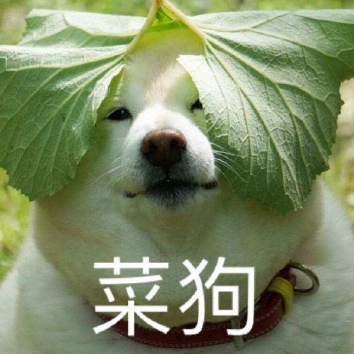 迪斯可(翻徐佳莹)封面
