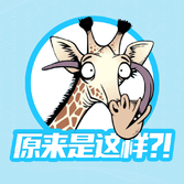 560：我们为什么会迷路？