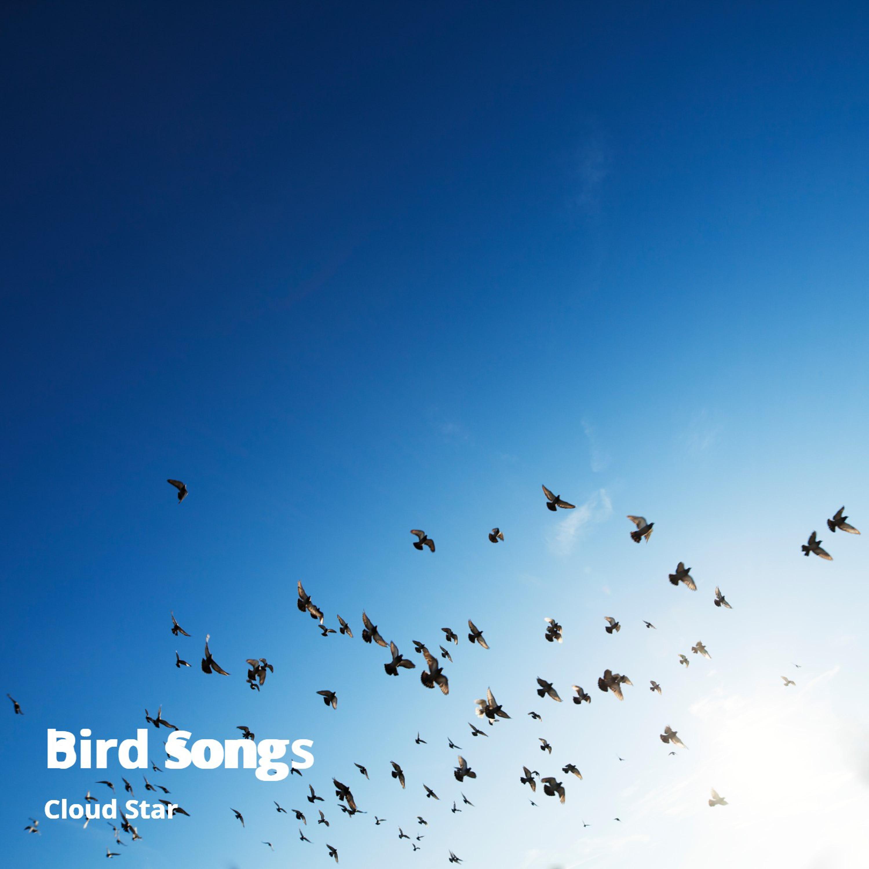 Bird Songs