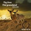 YO16 - The lives on The grassland（Intro mix）