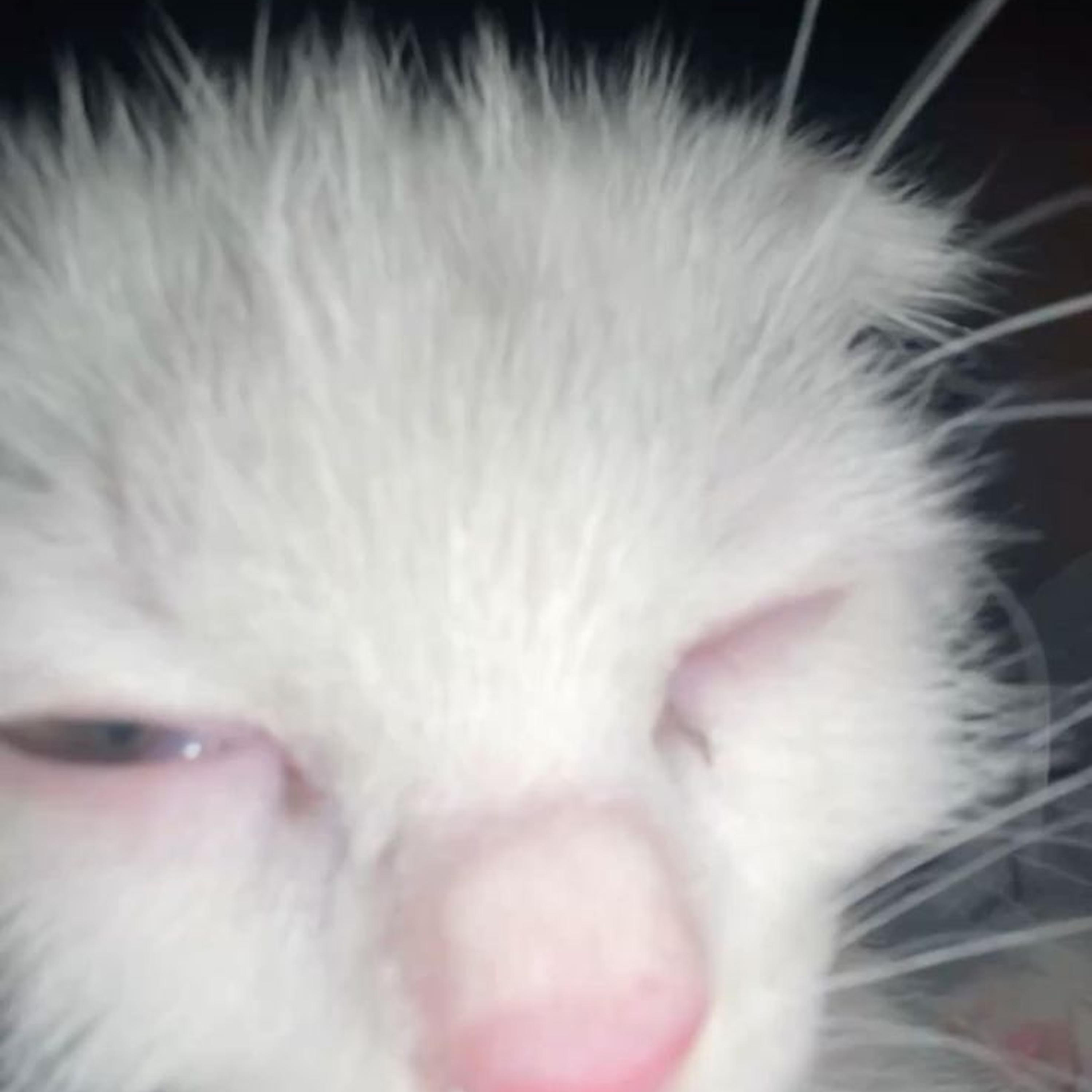 Breakin' Dishes (slowed)