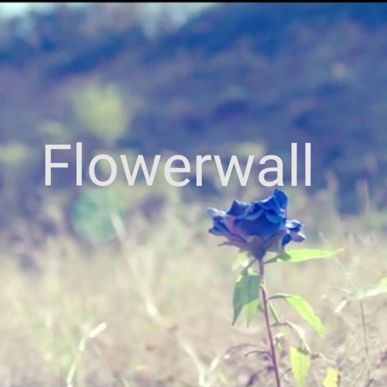 FlowerWall封面
