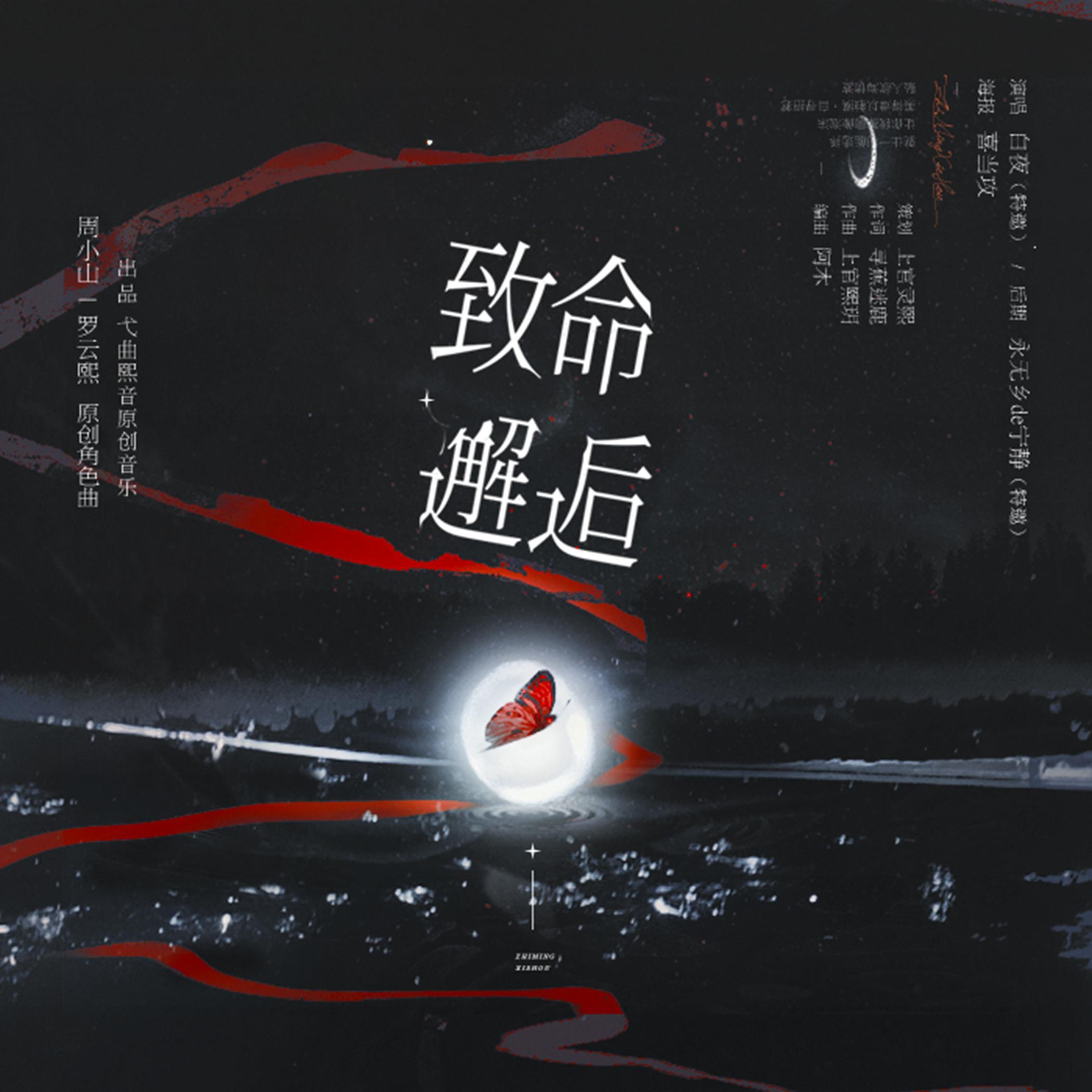 致命邂逅（白夜）封面