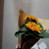 零点六资料,零点六最新歌曲,零点六MV视频,零点六音乐专辑,零点六好听的歌