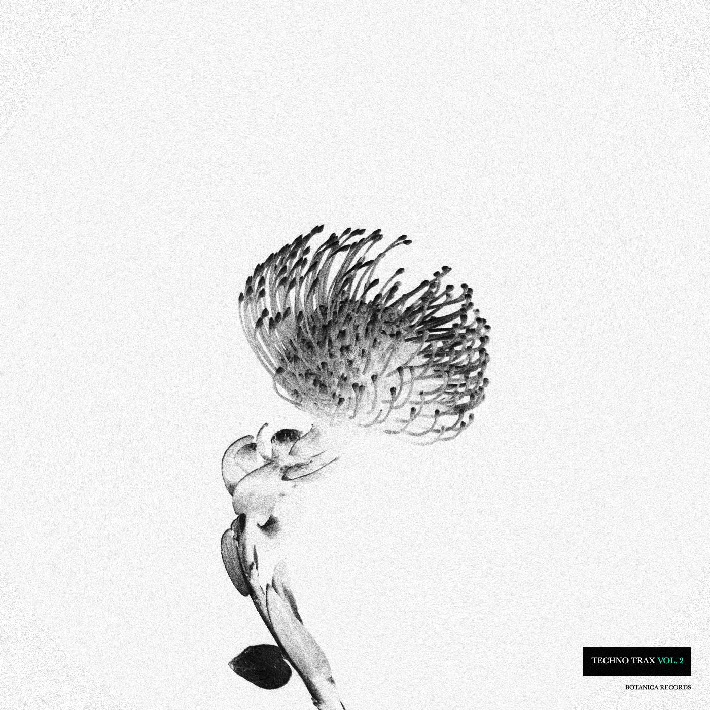 Eclectic (Original Mix)