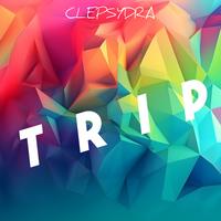 Trip