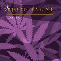 Bjorn Lynne, Vol. 12