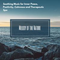 Melody Of The Nature (Soothing Music For Inner Peace, Positivity, Calmness And Therapeutic Spa)