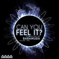 Can You Feel It, Vol. 2 (Compiled By Baramuda)