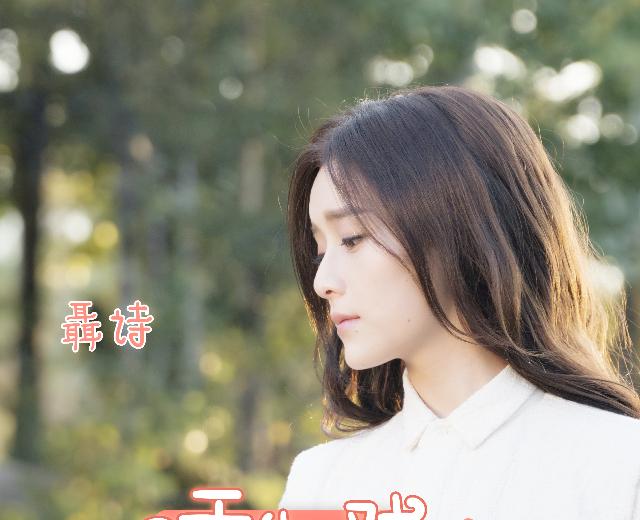 聂诗