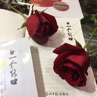 杨红wurendejie资料,杨红wurendejie最新歌曲,杨红wurendejieMV视频,杨红wurendejie音乐专辑,杨红wurendejie好听的歌