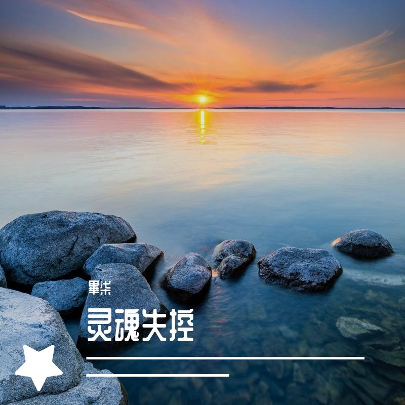 灵魂失控封面