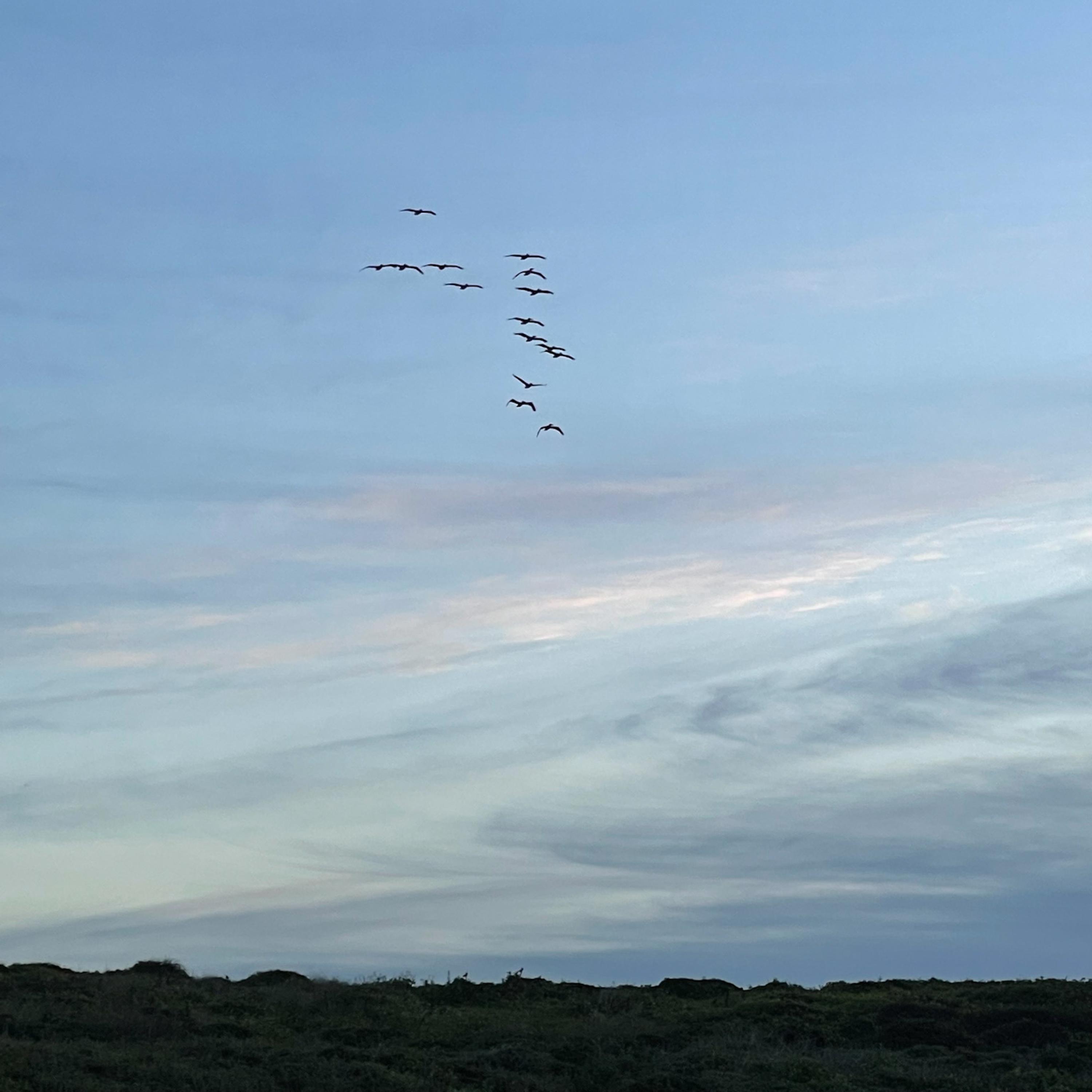 get me off this planet