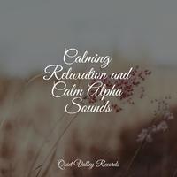 Calming Relaxation and Calm Alpha Sounds