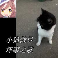 小猫做尽坏事之歌 (赛马娘版)